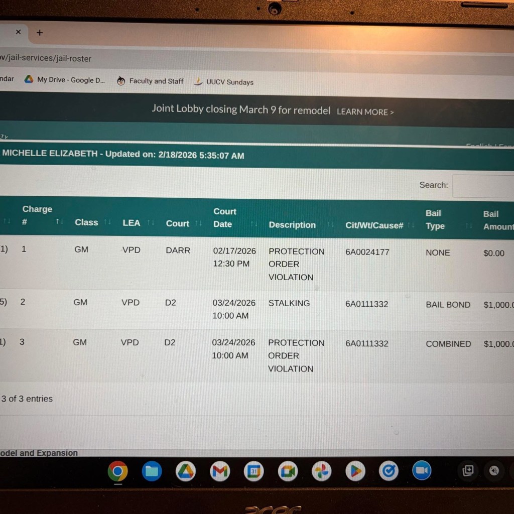 A screenshot of protection order violation and stalking charges Michelle Culhane had in February 2026. 